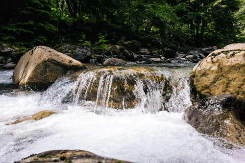 beautiful-water-flowing-brook-over-stone-animated-gif